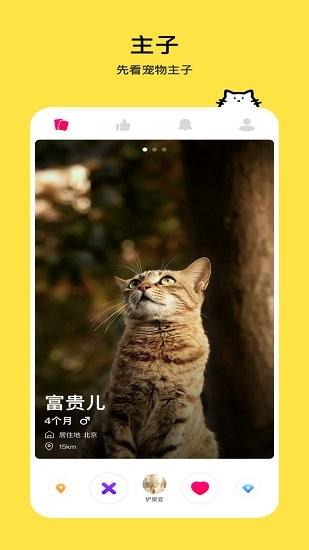 thinkpet最新版  v1.1.2图1