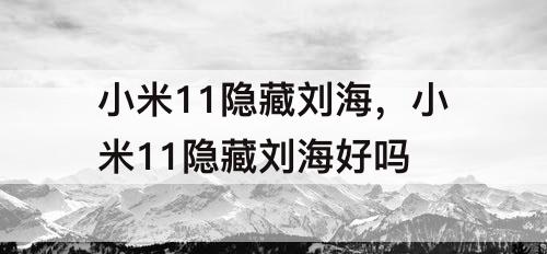 小米11隐藏刘海，小米11隐藏刘海好吗