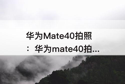 华为Mate40拍照：华为mate40拍照不如P40