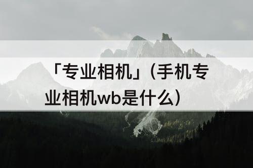 「专业相机」(手机专业相机wb是什么)