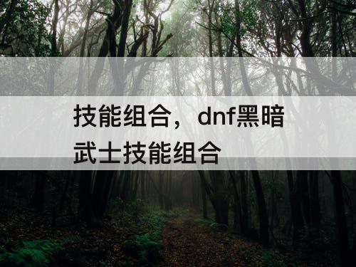 技能组合，dnf黑暗武士技能组合