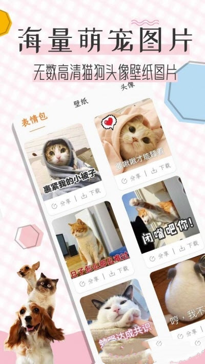 猫语翻译宝  v1.1.6图1