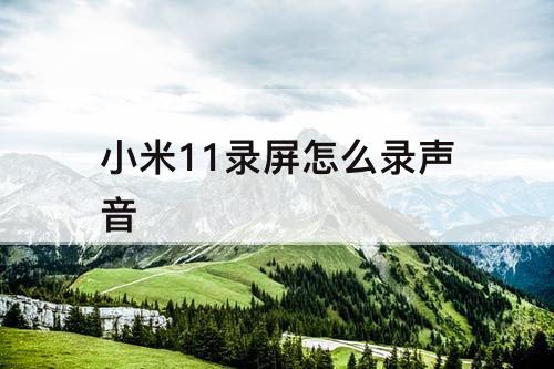 小米11录屏怎么录声音