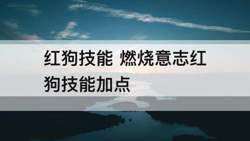 红狗技能 燃烧意志红狗技能加点