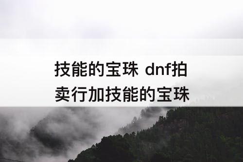技能的宝珠 dnf拍卖行加技能的宝珠