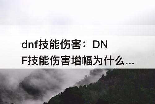 dnf技能伤害：DNF技能伤害增幅为什么贵