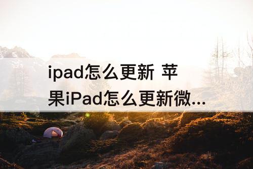 ipad怎么更新 苹果iPad怎么更新微信版本