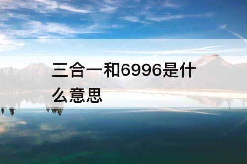 三合一和6996是什么意思