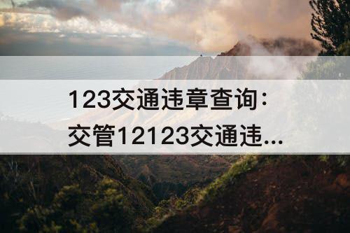 123交通违章查询：交管12123交通违章查询网