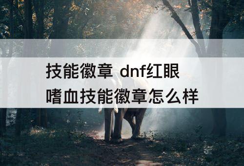 技能徽章 dnf红眼嗜血技能徽章怎么样