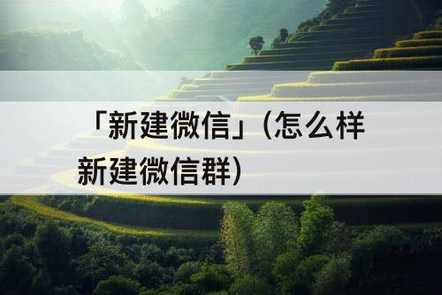 「新建微信」(怎么样新建微信群)