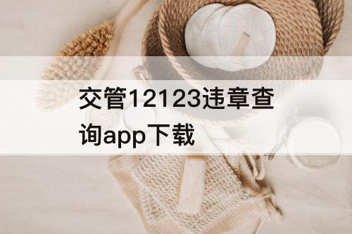 交管12123违章查询app下载