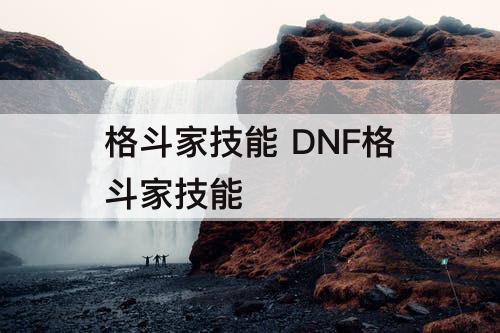 格斗家技能 DNF格斗家技能