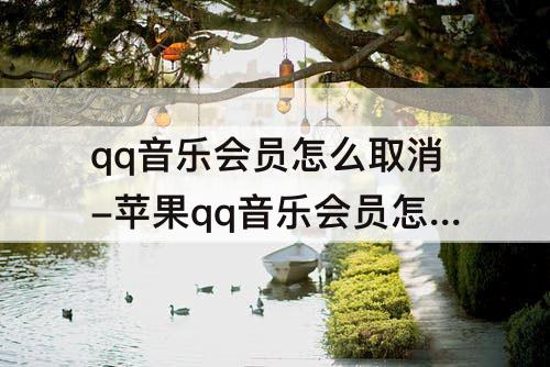 qq音乐会员怎么取消-苹果qq音乐会员怎么取消