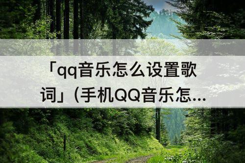 「qq音乐怎么设置歌词」(手机QQ音乐怎么设置歌词字体颜色)