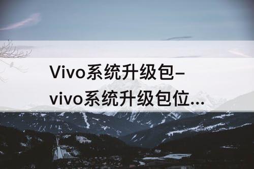 Vivo系统升级包-vivo系统升级包位置