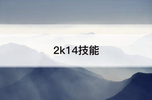 2k14技能