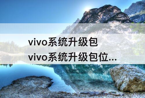 vivo系统升级包 vivo系统升级包位置