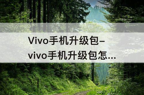 Vivo手机升级包-vivo手机升级包怎么安装