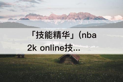 「技能精华」(nba2k online技能精华怎么弄)