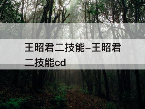 王昭君二技能-王昭君二技能cd