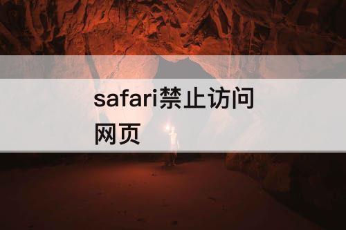 safari禁止访问网页