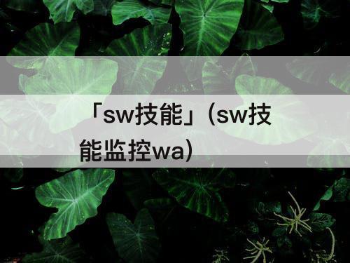 「sw技能」(sw技能监控wa)