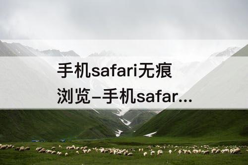 手机safari无痕浏览-手机safari无痕浏览怎么关闭