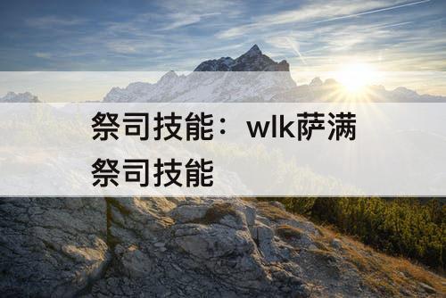 祭司技能：wlk萨满祭司技能