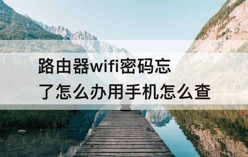 路由器wifi密码忘了怎么办用手机怎么查