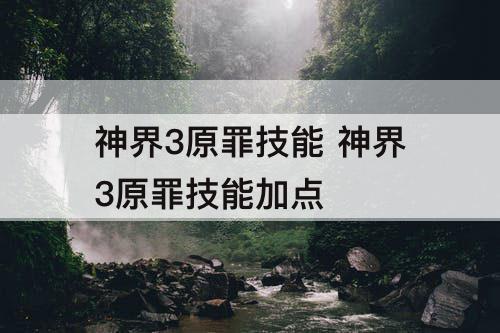 神界3原罪技能 神界3原罪技能加点