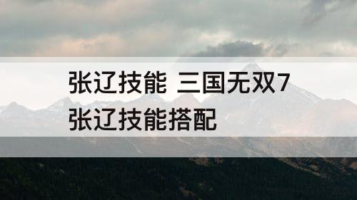 张辽技能 三国无双7张辽技能搭配