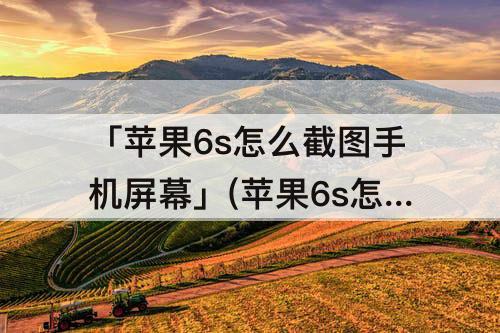 「苹果6s怎么截图手机屏幕」(苹果6s怎么截图手机屏幕截图)