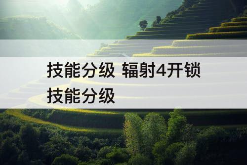 技能分级 辐射4开锁技能分级