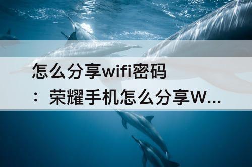 怎么分享wifi密码：荣耀手机怎么分享WiFi密码