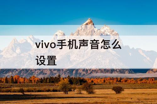 vivo手机声音怎么设置