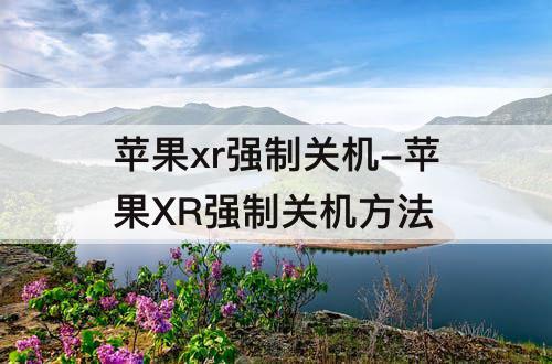 苹果xr强制关机-苹果XR强制关机方法