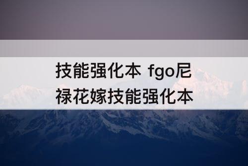 技能强化本 fgo尼禄花嫁技能强化本