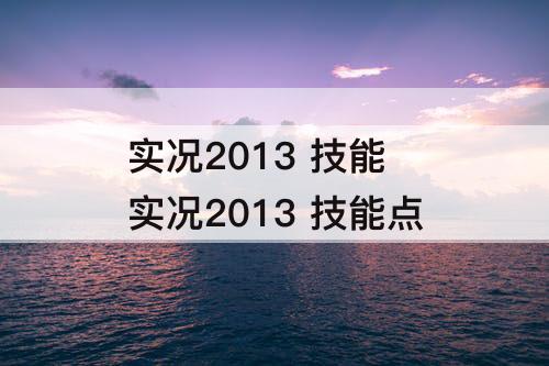 实况2013 技能 实况2013 技能点