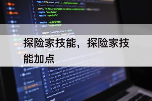 探险家技能，探险家技能加点