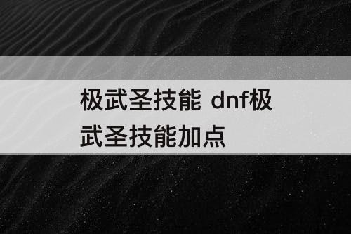 极武圣技能 dnf极武圣技能加点