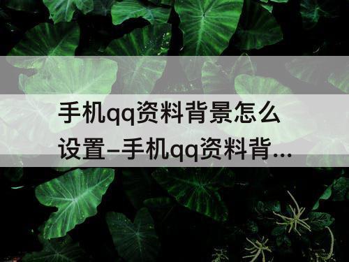 手机qq资料背景怎么设置-手机qq资料背景怎么设置透明