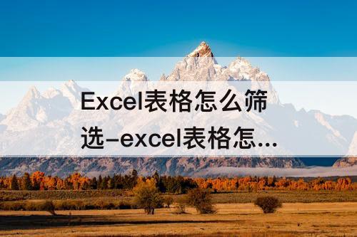 Excel表格怎么筛选-excel表格怎么筛选数据