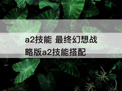 a2技能 最终幻想战略版a2技能搭配