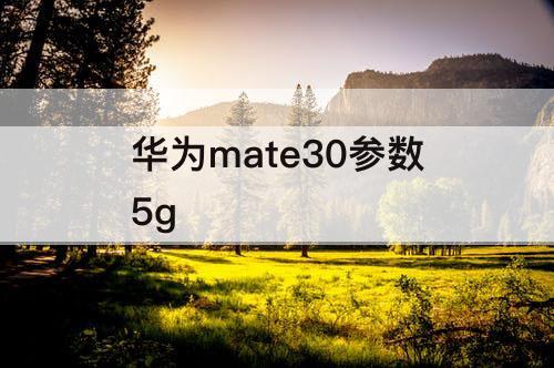 华为mate30参数5g