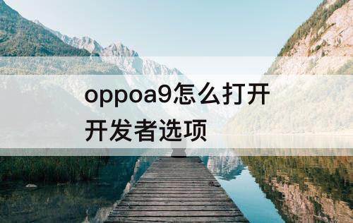 oppoa9怎么打开开发者选项