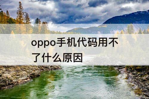 oppo手机代码用不了什么原因