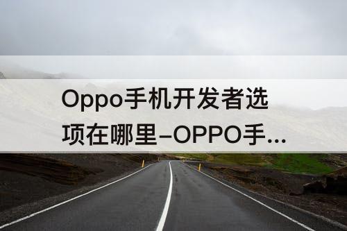 Oppo手机开发者选项在哪里-OPPO手机开发者选项在哪里找