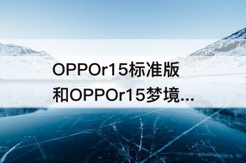 OPPOr15标准版和OPPOr15梦境版有什么区别