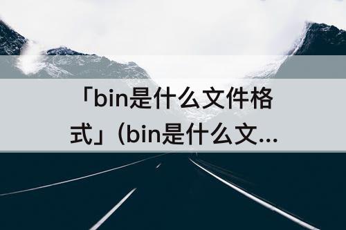 「bin是什么文件格式」(bin是什么文件格式怎么打开)